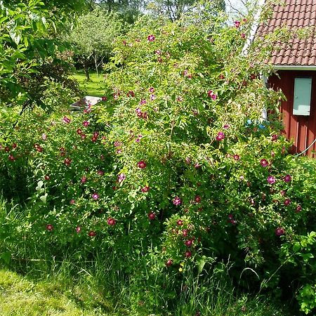 Langesater B&B Lerdala Екстер'єр фото