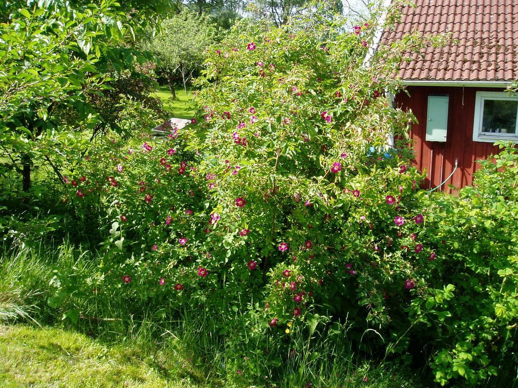 Langesater B&B Lerdala Екстер'єр фото